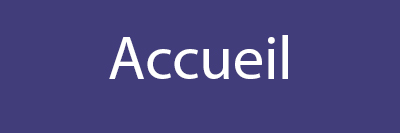 Bouton Accueil