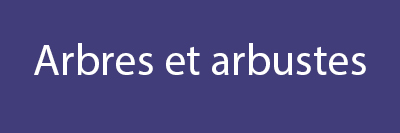 Bouton arbres et arbustes