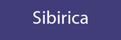 Bouton Iris sibirica