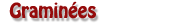 Bouton Graminees