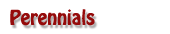 Perennials A-H
