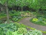 jardin
