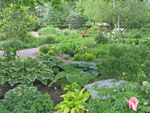 jardin