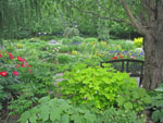 jardin