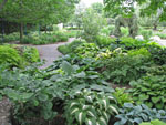 jardin