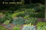 photo jardin