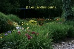 photo jardin