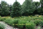 photo jardin vue aerienne 