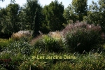 photo jardin
