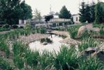 photo jardin au printemps
