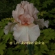miniature Vision in Pink