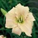 miniature Diane Joiner